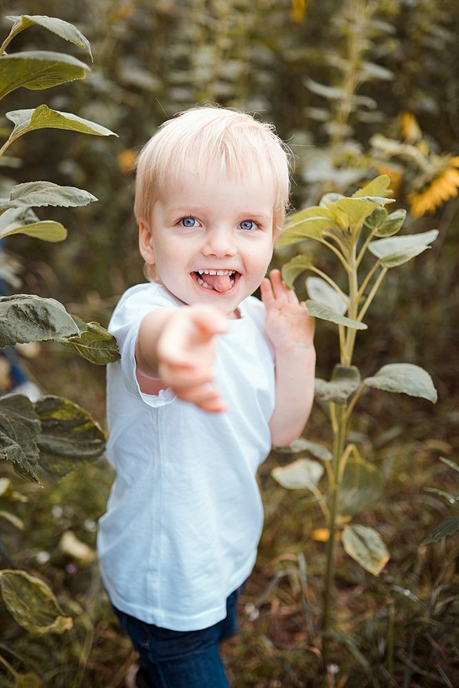 Nicole Haines Fotografie Laufach Aschaffenburg